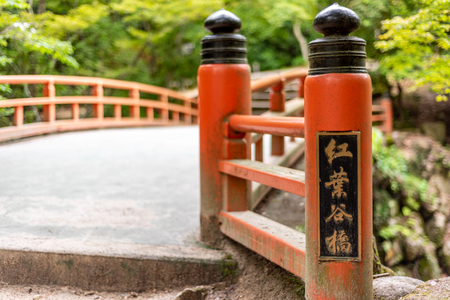 Forest at the Mount Misen, Miyajima island, Japan. Mount Misen is the sacred mountain on Itsukushima in Hatsukaichi, Hiroshima, Japan, and is the highest mountain on the island at 535 mのeditorial素材