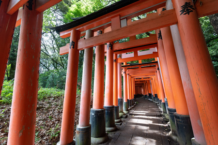 Red Torii gates in Fushimi Inari shrine in Kyoto, Japanのeditorial素材