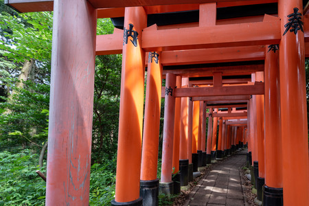 Red Torii gates in Fushimi Inari shrine in Kyoto, Japanのeditorial素材