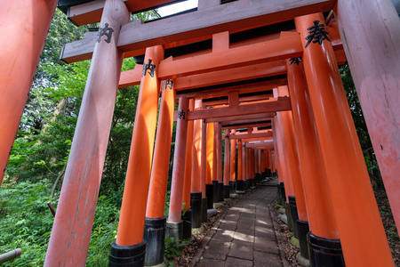 Red Torii gates in Fushimi Inari shrine in Kyoto, Japanのeditorial素材