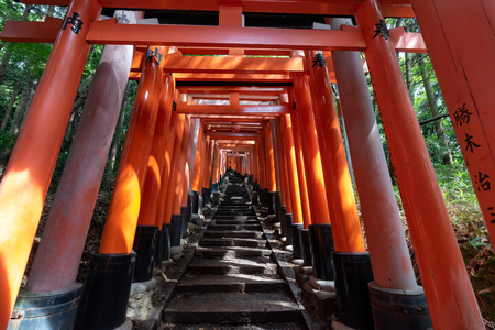 Red Torii gates in Fushimi Inari shrine in Kyoto, Japanのeditorial素材
