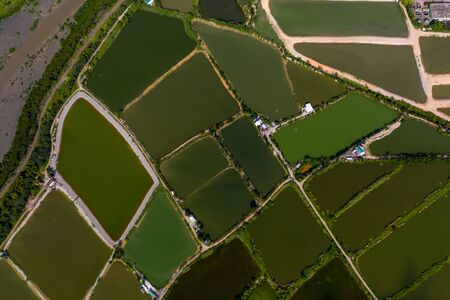 Aerial view of Yeun Long and nearby, New Territories Hong Kongの写真素材