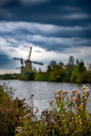 Dutch famous landscape, windmills at villageの写真素材
