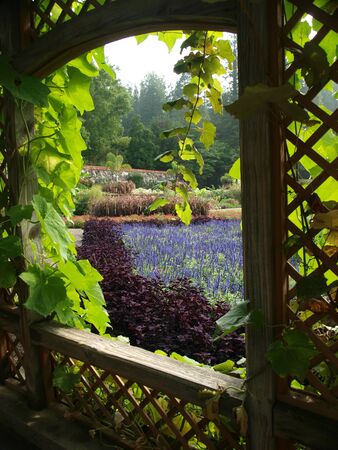 Violet Gardensの写真素材
