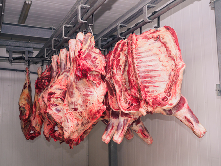 Carcass of a pig raw, refrigerator. Production