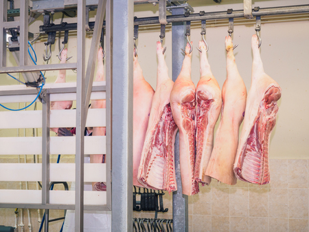 Carcass of a pig raw. Productionの写真素材