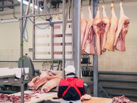 Carcass of a pig raw. Productionの写真素材