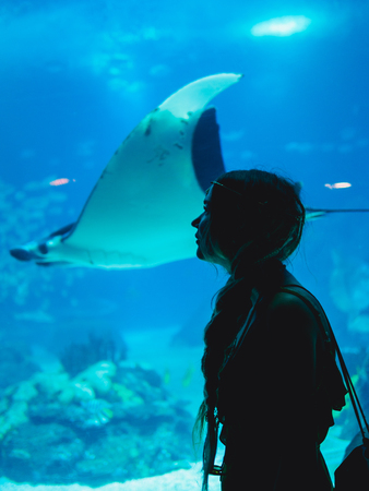 Girl watching fish through the glass in Oceanarium.の写真素材