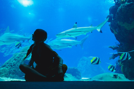 Girl watching fish through the glass in Oceanarium.の写真素材
