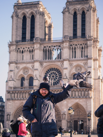 PARIS, FRANCE - JANUARY 20, 2017: Tourists feeding pigeons in the square in front of the cathedral of Notre Dame. Paris, France.のeditorial素材