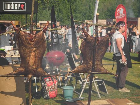 KAZAN, RUSSIA - MAY 11, 2019. BBQ festival "The Grill-fest" in Gorkinskoye-Ometyevsk forest.のeditorial素材