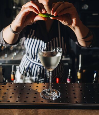 Making cocktail in bar by bartender. Professional mixology.の写真素材