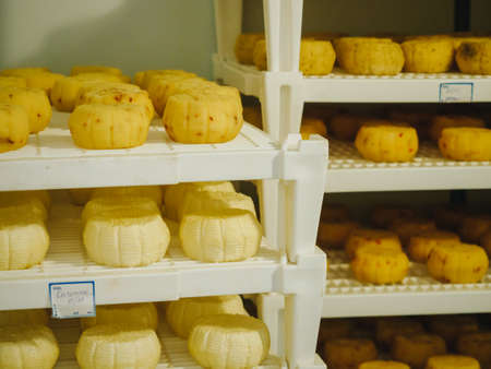Making of cheese. Industry traditional production. hands.の写真素材