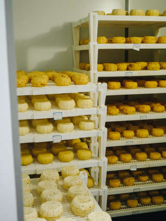 Making of cheese. Industry traditional production. hands.の写真素材