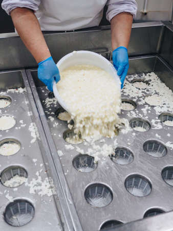 Making of cheese. Industry traditional production. hands.の写真素材