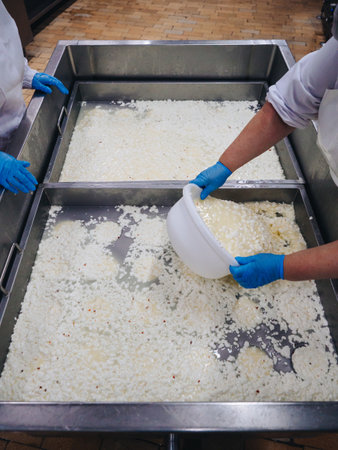 Making of cheese. Industry traditional production. hands.の写真素材