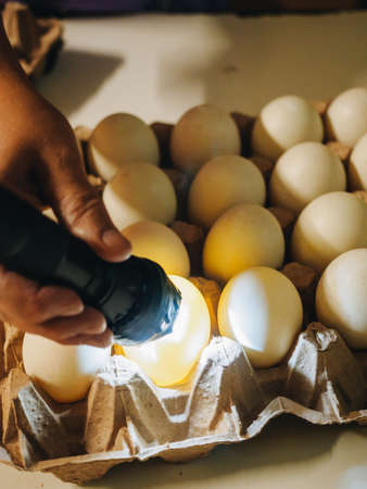Many packages of eggs in plastic storage from chicken farm.の写真素材