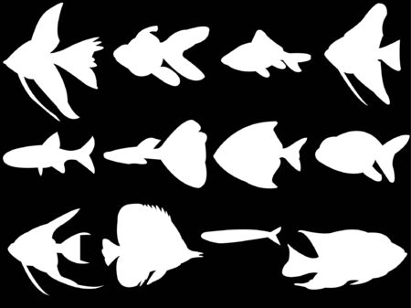 aquarium fish white silhouette のイラスト素材