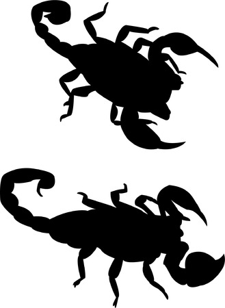 scorpion silhouette のイラスト素材