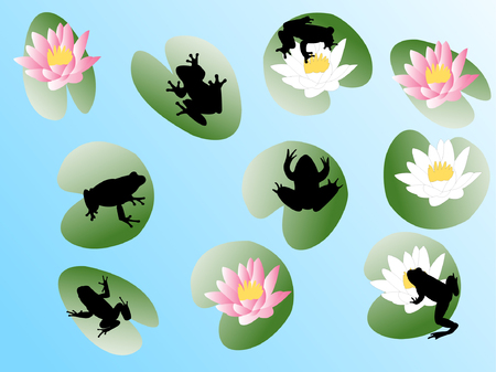frogs on flowers - vectorのイラスト素材
