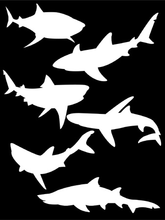 collection of sharks silhouette isolated on blackのイラスト素材