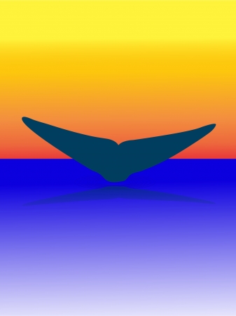 whales tail on sunset - vectorのイラスト素材