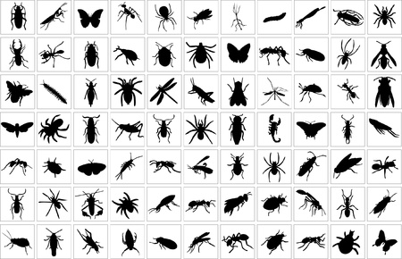 Collection of bugs のイラスト素材