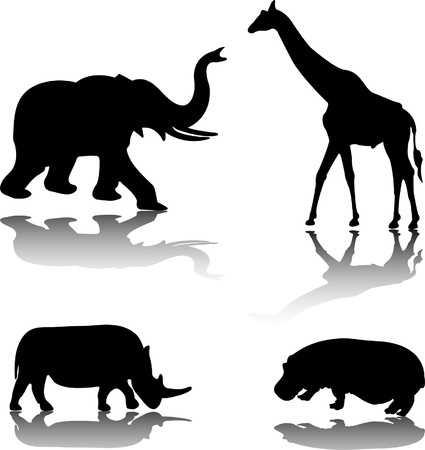 wild animals のイラスト素材