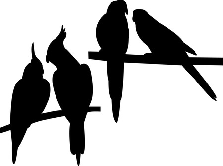 parrots couple - vectorのイラスト素材