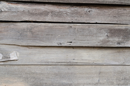 Wood texture. Nice and wooden.の写真素材