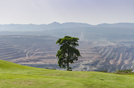 standing alone tree among mineの写真素材