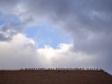 Several pigeons on the roof of a house with a nice sky aboveの写真素材