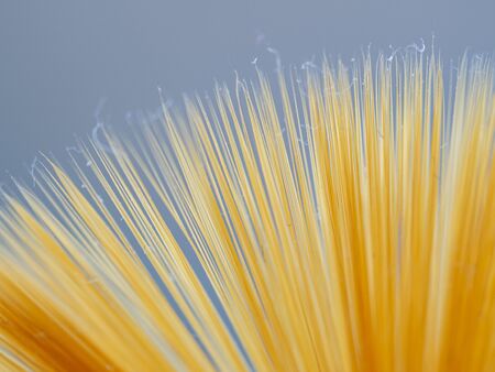 Macro shot of a synthetic brush, precisely the individual hairs of the brushの写真素材