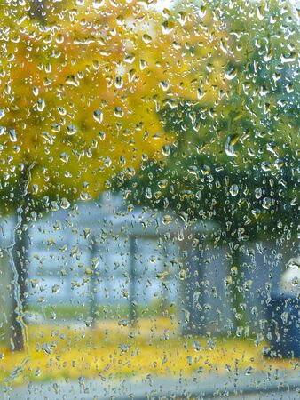 Abstract view of two trees through a wet windowの写真素材