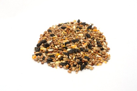 pile of bird seed on white backgroundの写真素材