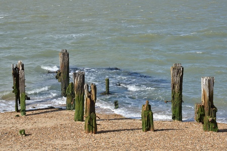 Wooden Posts by sea