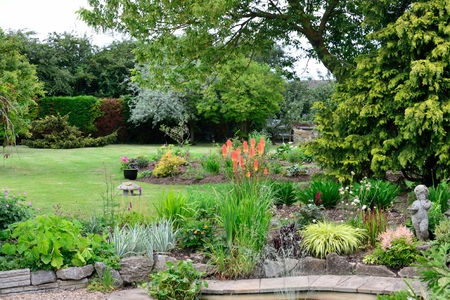 English Garden with plantsの写真素材