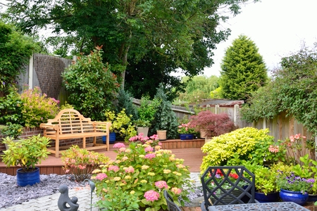 Small pretty english gardenの写真素材