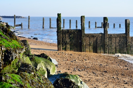 Wooden groyne on Essex Coastの写真素材