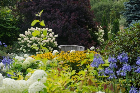 Traditional English garden with seat in backgroundの写真素材