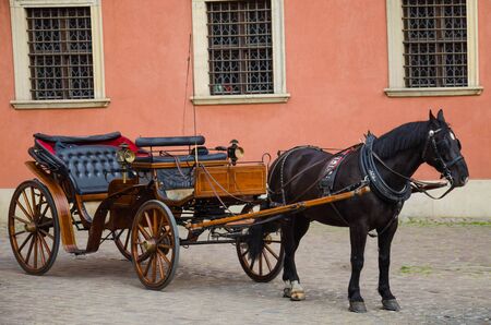 Carriage with a black horseの写真素材