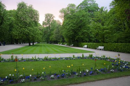 Green park landscape with white benchesの写真素材