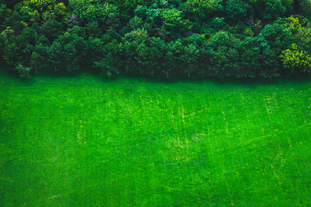Top view background of green field and forest with copy space. Beautiful border of forest with green meadow. Natural environmentの写真素材