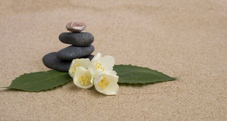 Jasmine and stones on a sandの写真素材