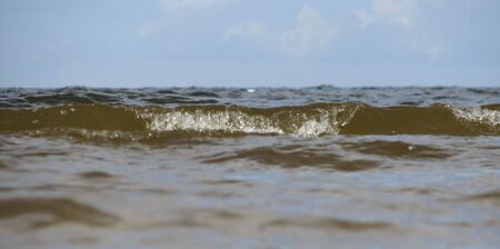 Waves