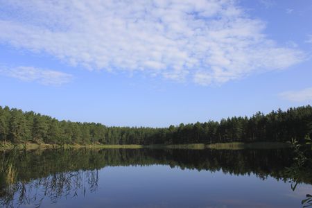 Nature scene - forest reflection in the waterの写真素材