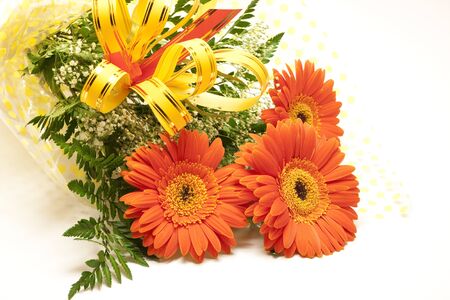 Bouquet of gerbera flowers isolated on whiteの写真素材
