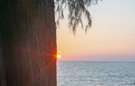 sunset forground the pine beach at phuket thailandの写真素材