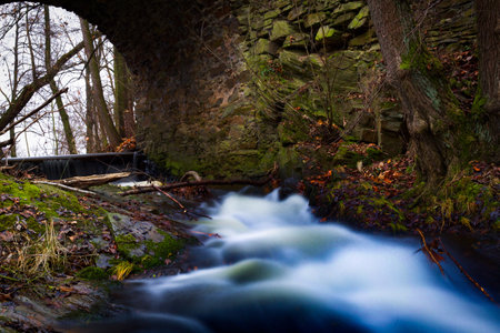 Wild natureの写真素材