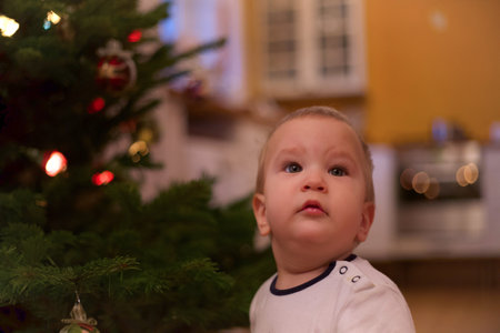 My little brother sees Christmas tree for the first timeの写真素材